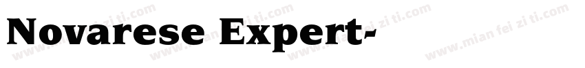 Novarese Expert字体转换